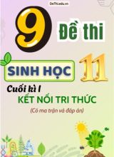 9 Đề thi Sinh Học 11 cuối học kì 1 có Ma trận & Đáp án (Kết nối tri thức)